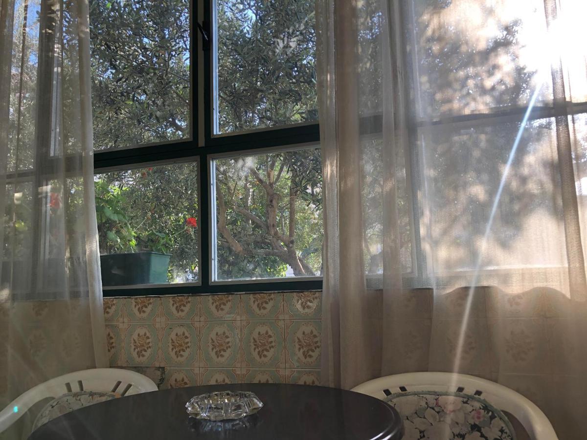 Garden Apartman Split Exteriör bild